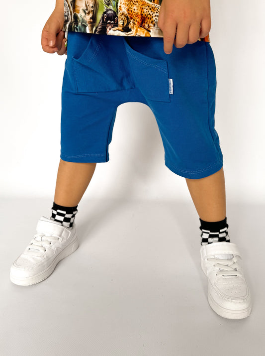 Cornflower shorts 
